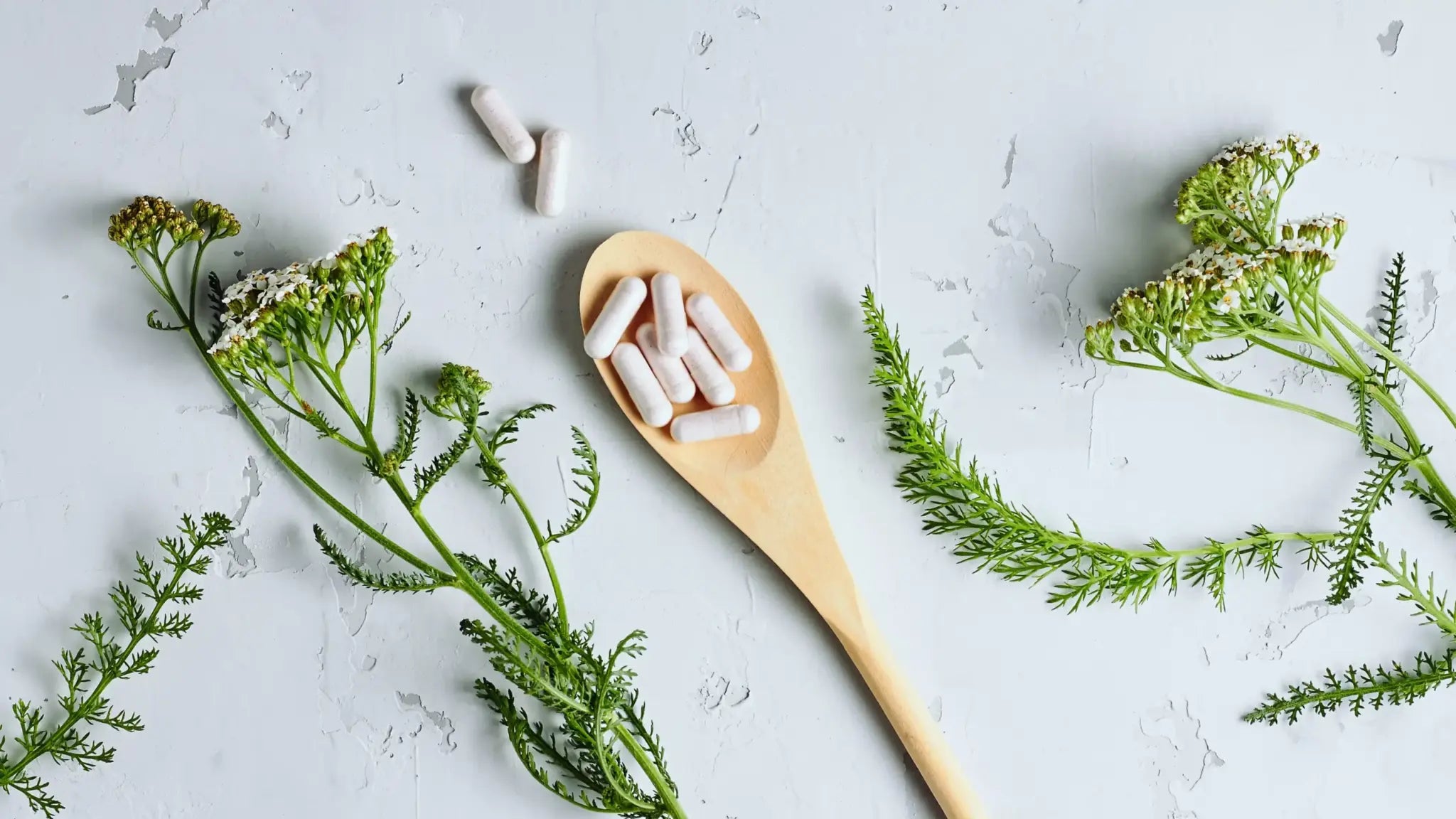 A top-down view of a wooden spoon filled with white spermidine supplement capsules, artfully arranged alongside sprigs of delicate green flowering plants on a light, textured surface to highlight spermidine’s natural, anti-aging appeal.