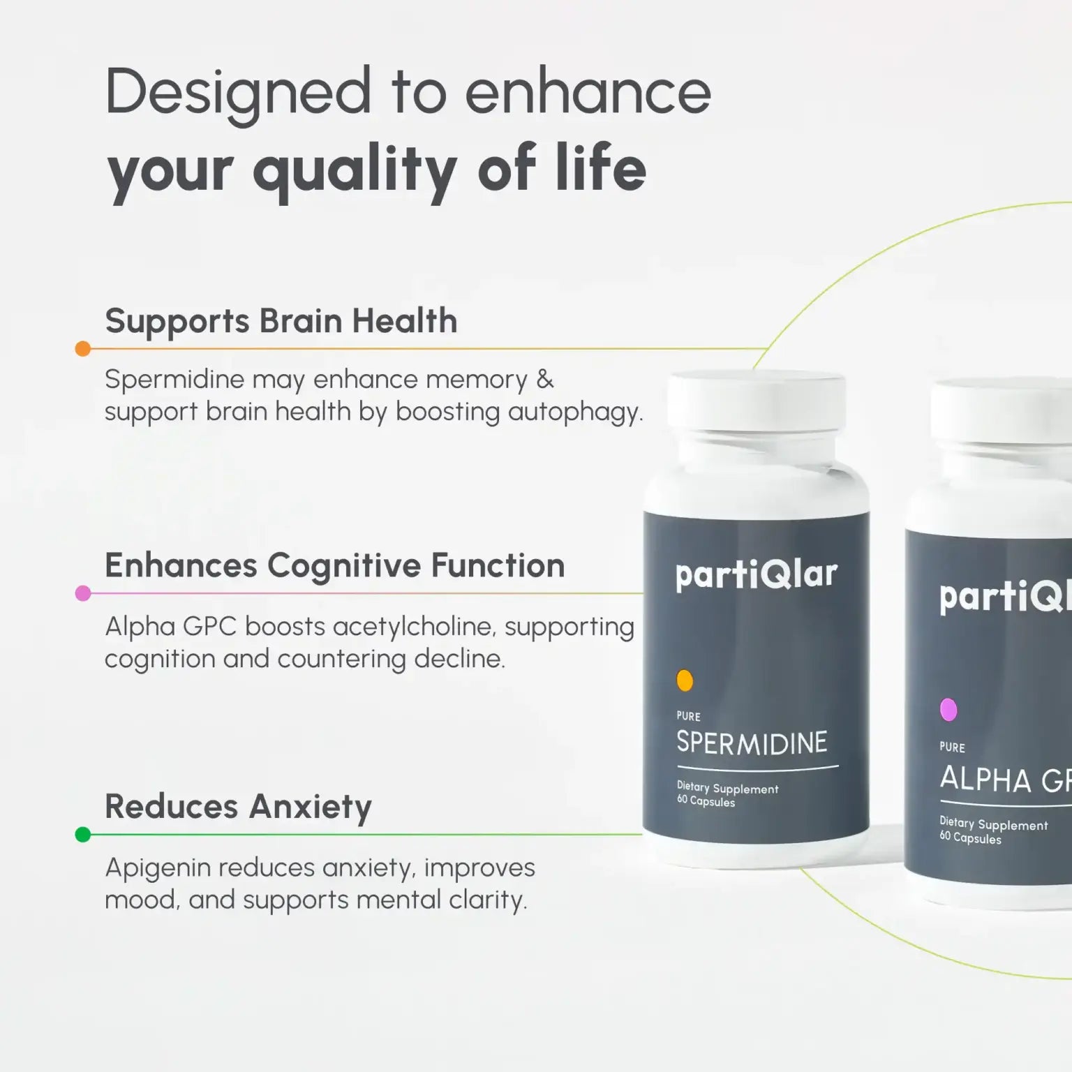 Cognitive Boost Bundle