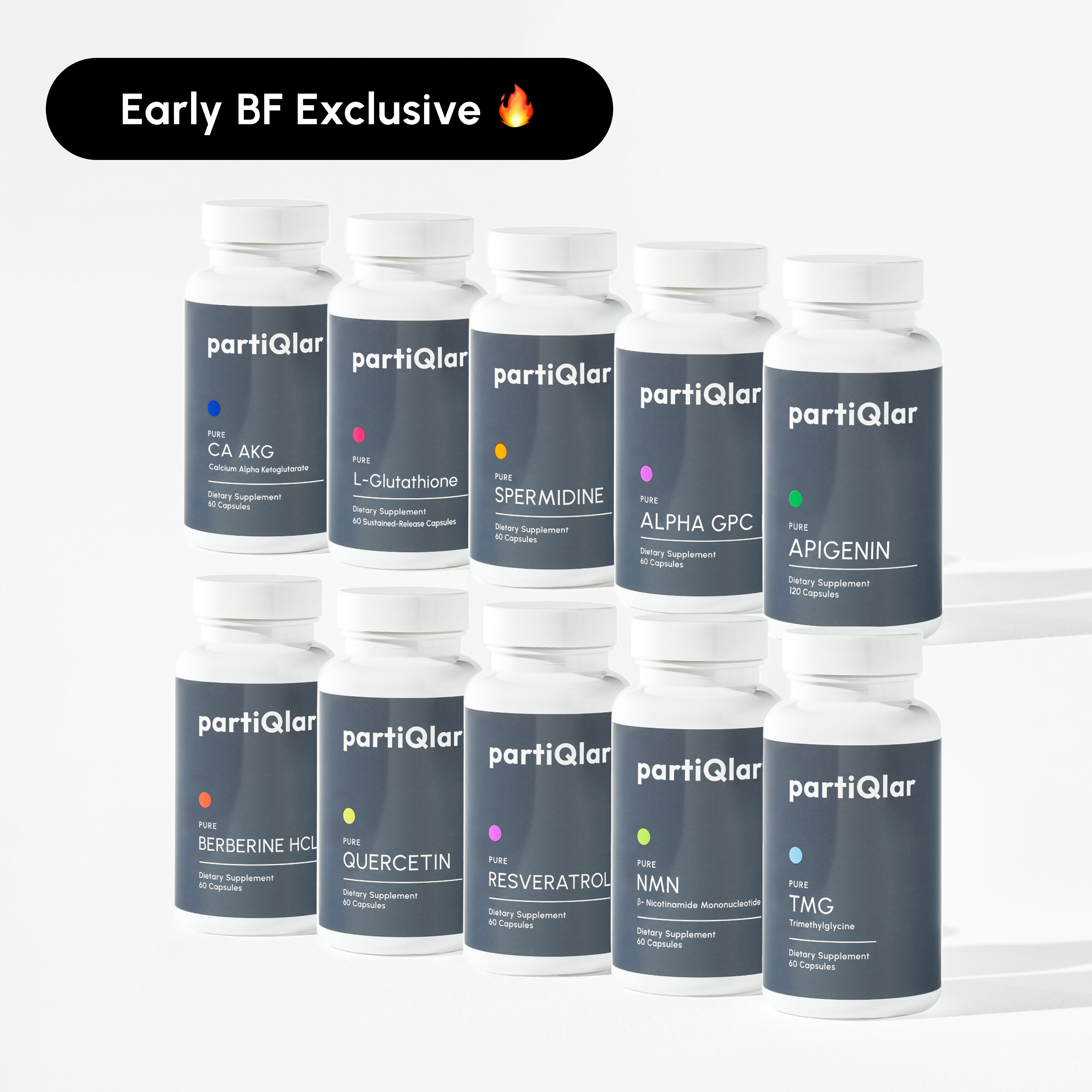 The All-Rounder - Maxi Bundle