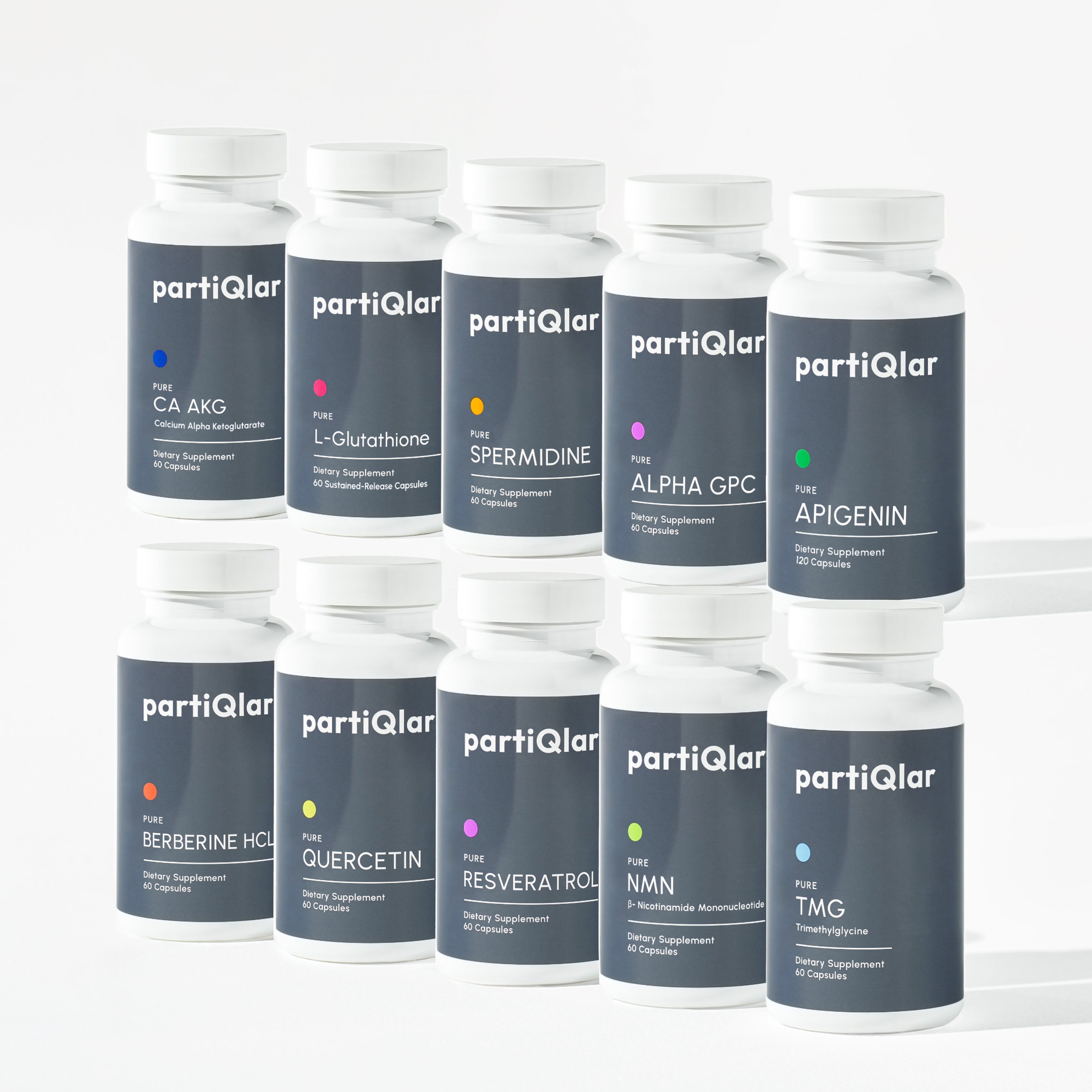 BLACK FRIDAY ONLY: The All-Rounder - Ultimate 1-Year Bundle