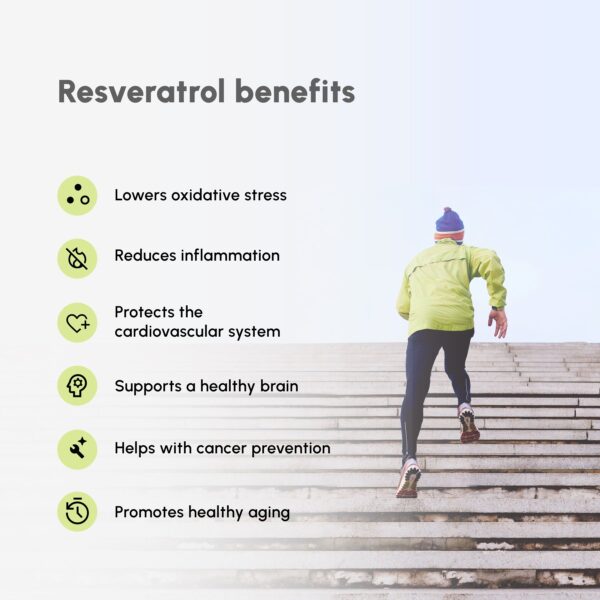 Description of Pure Resveratrol Benefits: lowers oxidative stress, reduces inflammation, protects cardiovascular system, supports healthy brain, helps with cancer prevention, promotes healthy aging with the running man wearing green jacket in the background.