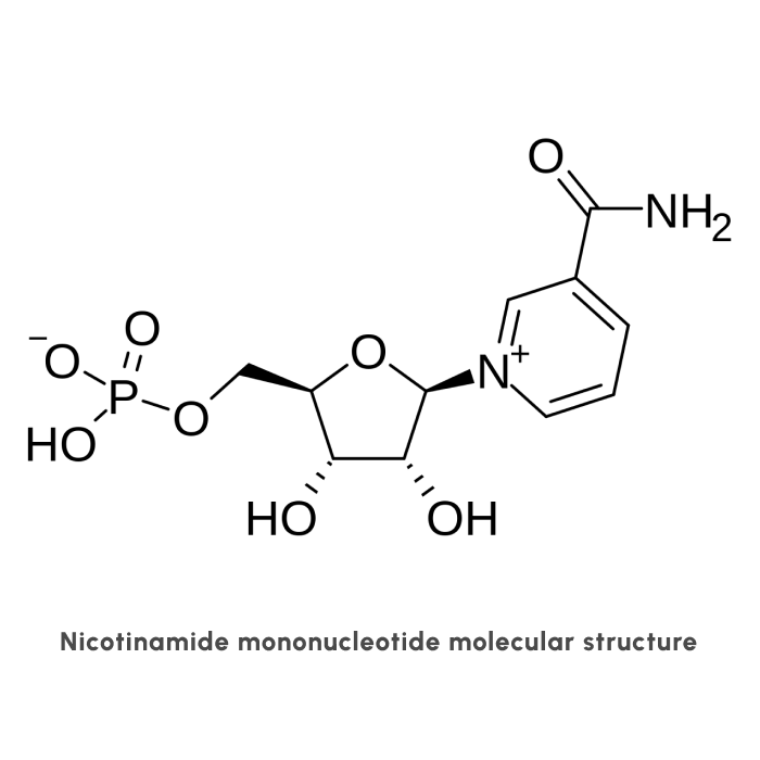 Molecular structure of NMN, Nicotinamide Mononucleotide