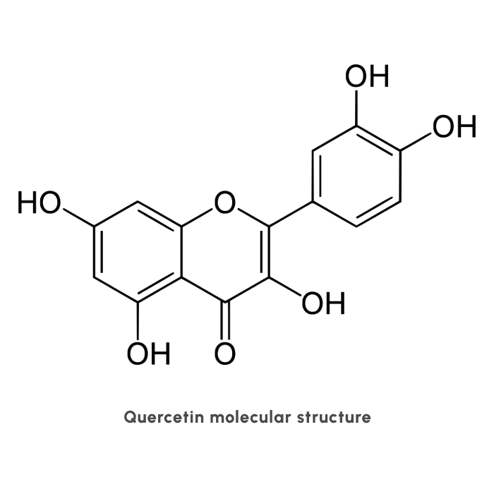 Molecular structure of Quercetin