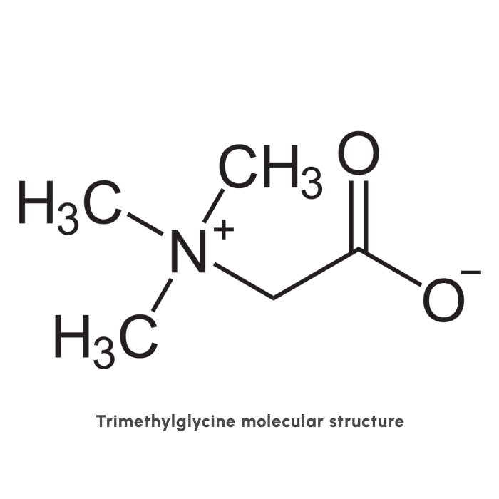 Molecular structure of Trimethylglycine TMG