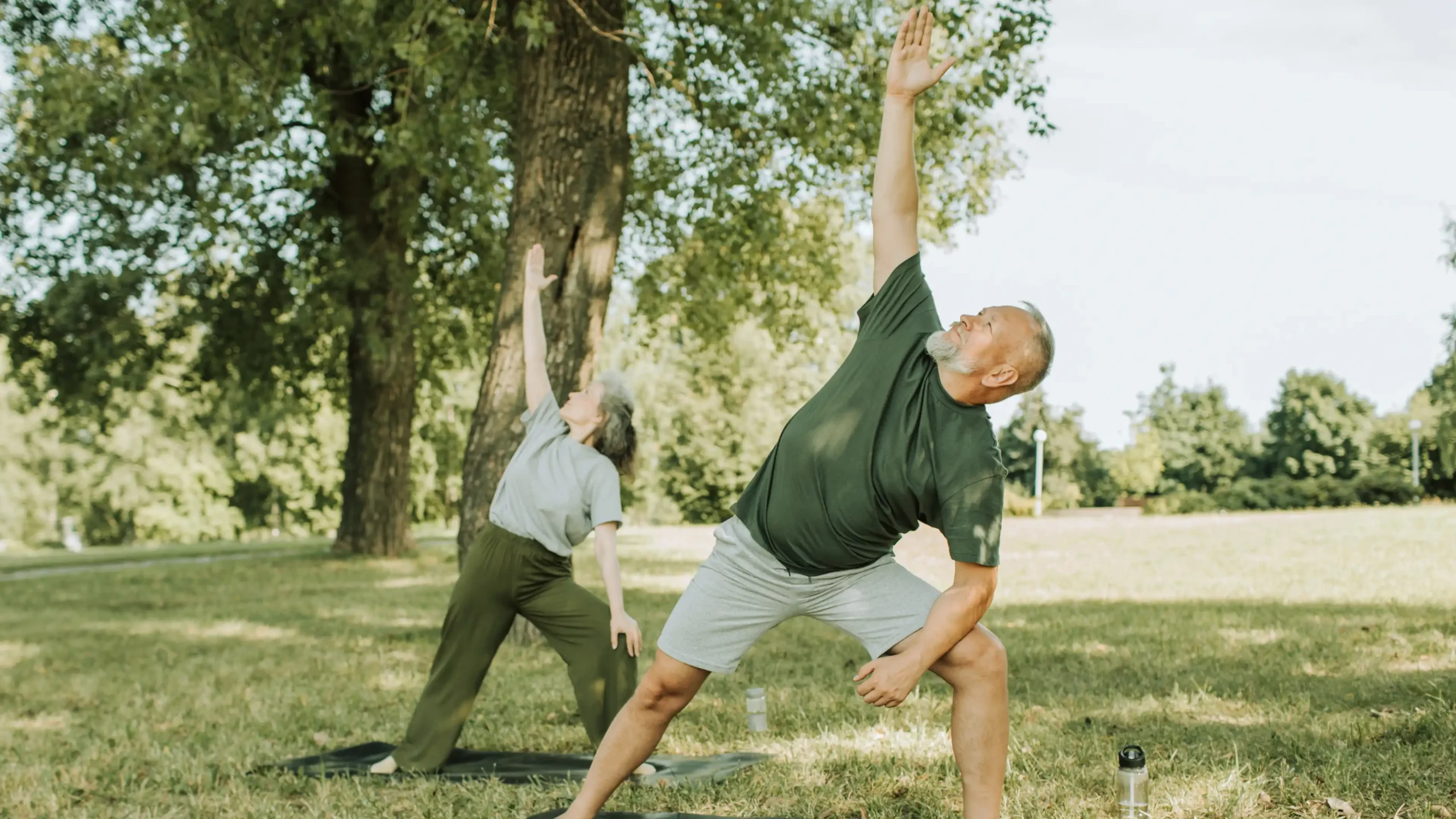 Aging and Physical Activity Decrease: What Starts First?