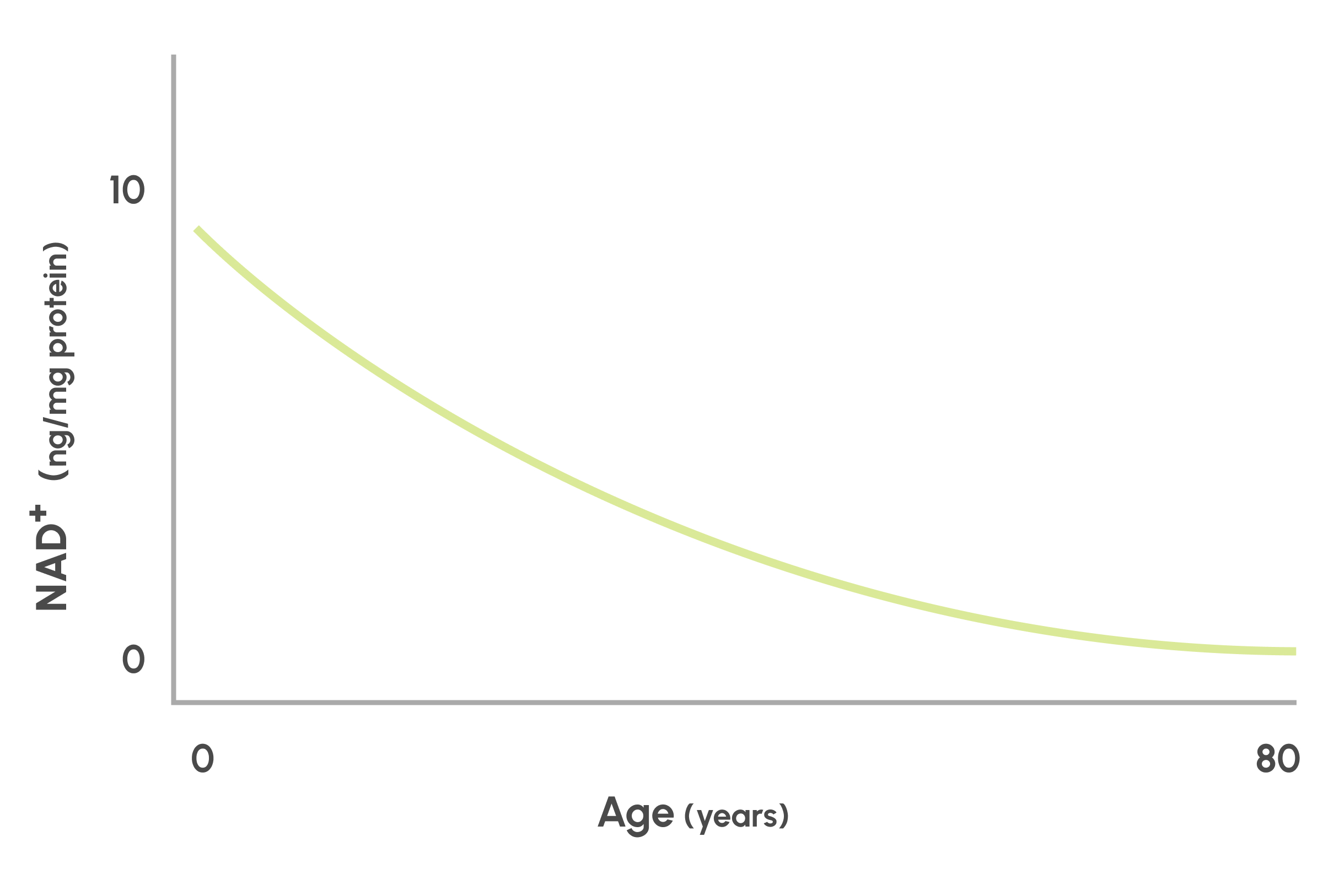 how NAD+ declines with age