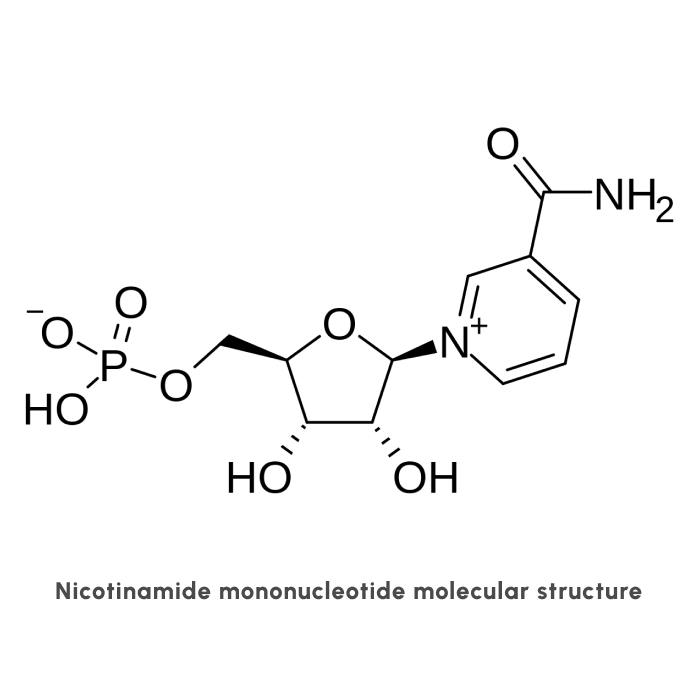 nmn molecure structure