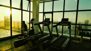 Sunlit gym with treadmills glowing in natural light.