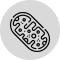 icon cell