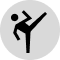 icon high kick